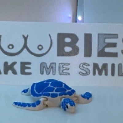 Mô hình "Boobies" - Biển "Boobies Make Me Smile"