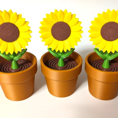 Hướng Dương - Bộ Sưu Tập Hoa Lò Xo