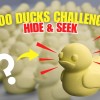 100 Vịt Săn Lùng – Trò Chơi Trốn Tìm - Thumbnail 1