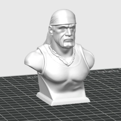 Mô hình Hulk Hogan (Memory Bust)