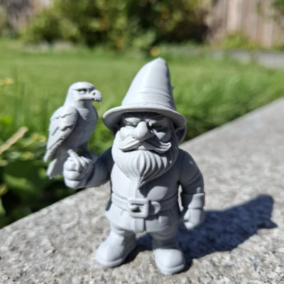 Ông Già Falconer – Bậc Thầy Bầu Trời