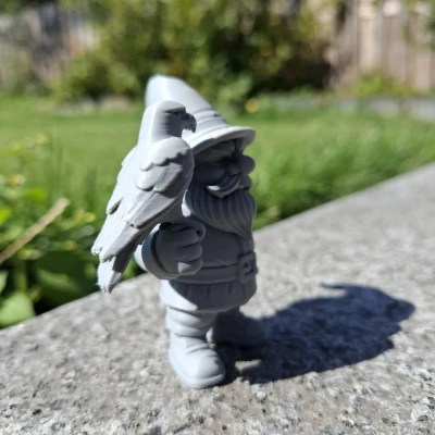 Ông Già Falconer – Bậc Thầy Bầu Trời