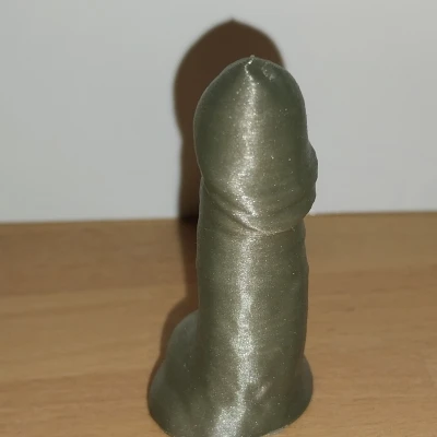 Mô Hình Tiết Niệu Nam (Penis Scan)