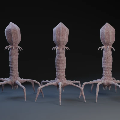 Mô hình Virus Phage Kháng Khuẩn