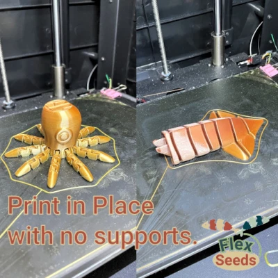 Mực và Ốc Anh Minh Flexi (In tại chỗ)