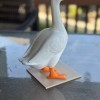 Ngỗng Để Bàn - từ ngỗng ngoài hiên - Thumbnail 5