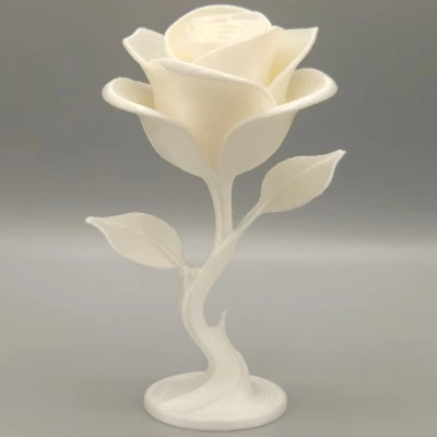 Hoa Hồng Vĩnh Cửu