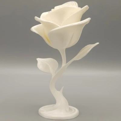 Hoa Hồng Vĩnh Cửu