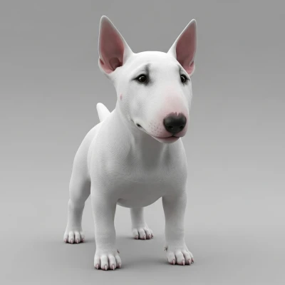 Chó Bull Terrier Dễ Thương
