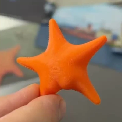 Nam Châm Sao Biển Độc Đáo - Butted Starfish Magnet
