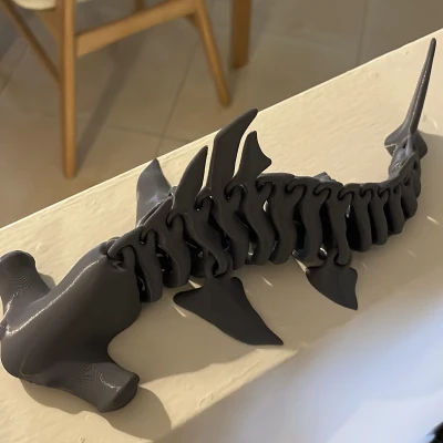 Xương Cá Mập Đầu Búa