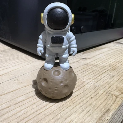 Phi hành gia vũ trụ trên đá