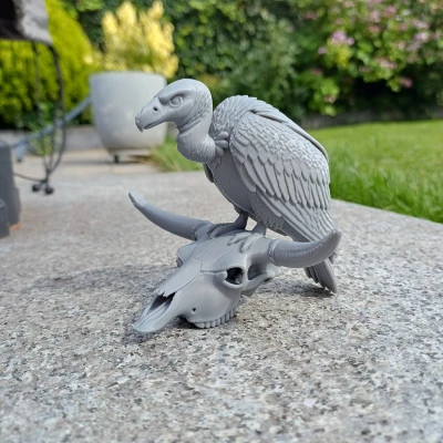 Desert Sentinel – Kền kền & Đầu lâu