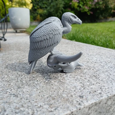 Desert Sentinel – Kền kền & Đầu lâu