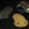 Trilobite Flexiphacops rana - Mô Hình 3D In 3D Linh Hoạt - Thumbnail 1