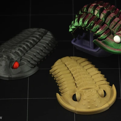 Trilobite Flexiphacops rana - Mô Hình 3D In 3D Linh Hoạt