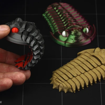Trilobite Flexiphacops rana - Mô Hình 3D In 3D Linh Hoạt