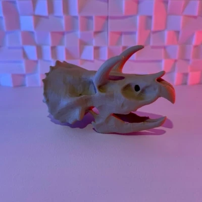 Mô hình sọ khủng long Triceratops