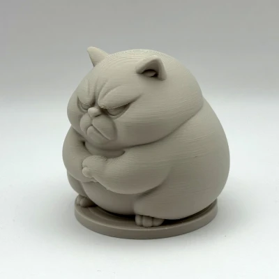 Mèo Chằn Chằn Mập Ú