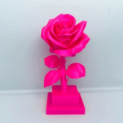 Trang Trí Hoa Hồng