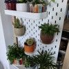 Kệ Trồng Cây Nhỏ Cho IKEA Skadis - Thumbnail 2