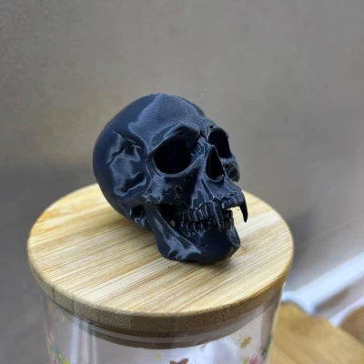 Mô hình Calavera Vampiro - Đầu Lâu Ma Cà Rồng