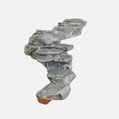 Cầu thang đá cho hồ cá, Terrarium hoặc Paludarium