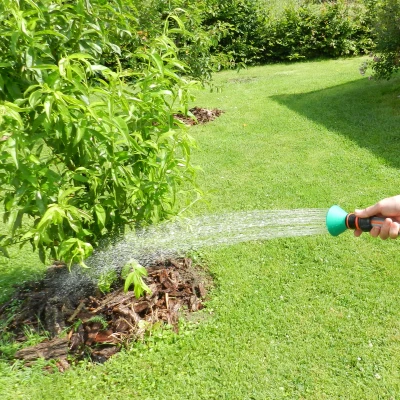 Bình Xịt Tưới Cây Vườn