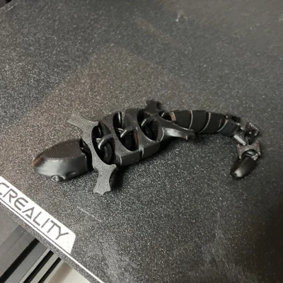 Thằn Lằn Agama Dễ Thương Co Giãn (In Liền Mạch)