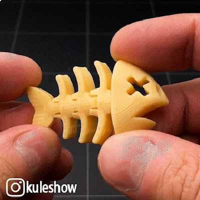 Móc khóa Flexi Xương Cá (Flexi Fish Bone keychain)