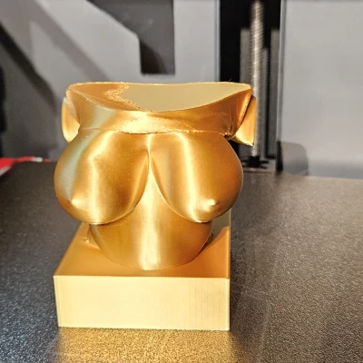 Ngực Vợ Tôi Size 38G - Bản Làm Lại Đã Có!!