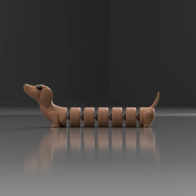 CHÓ BẠCH TUỘC KHỚP NỐI