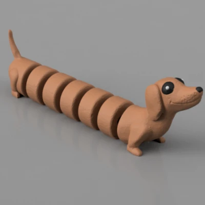 CHÓ BẠCH TUỘC KHỚP NỐI