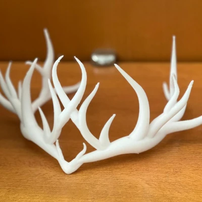 Sylvan Halo - Vòng Nguyệt Quế Ma Thuật