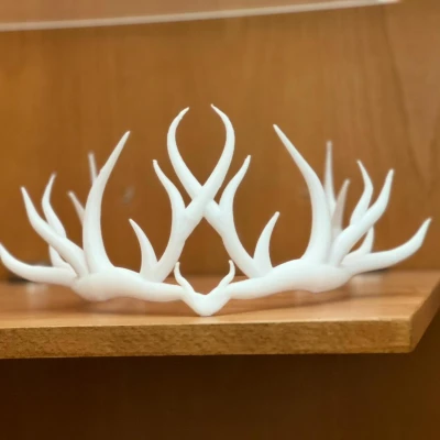 Sylvan Halo - Vòng Nguyệt Quế Ma Thuật