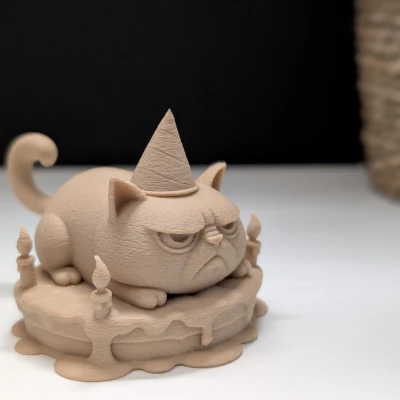 Grumpy Cat Trên Bánh Kem