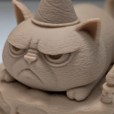 Grumpy Cat Trên Bánh Kem