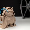 Darth Grumpy Cat - Mèo Khó Ở Biết Cảm Nhận Sự Hiện Diện - Thumbnail 10