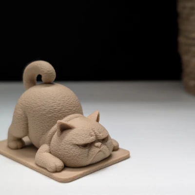 Mèo Cau Có Tập Yoga