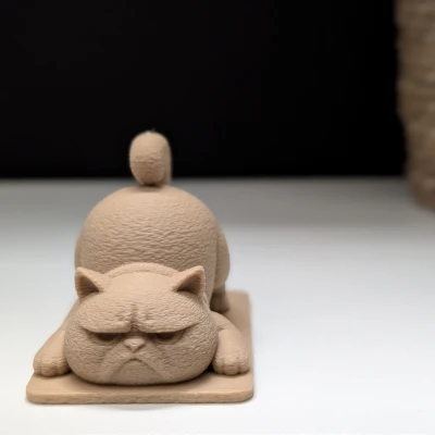 Mèo Cau Có Tập Yoga