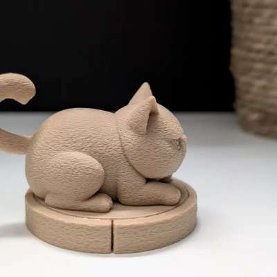 Mèo Gằn Mặt Trên Xe Roomba