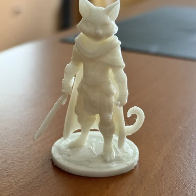 Mô Hình Ranger Mèo - DnD