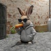 Cool Rabbit - Hình số 10 - Thumbnail 1