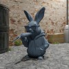 Cool Rabbit - Hình số 10 - Thumbnail 2