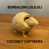 Burbaloni Loliloli - Capybara Dừa - Thumbnail 1
