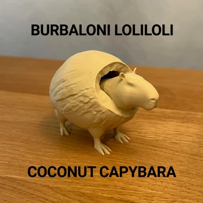 Burbaloni Loliloli - Capybara Dừa