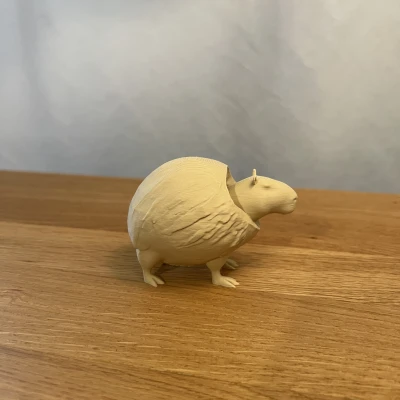 Burbaloni Loliloli - Capybara Dừa