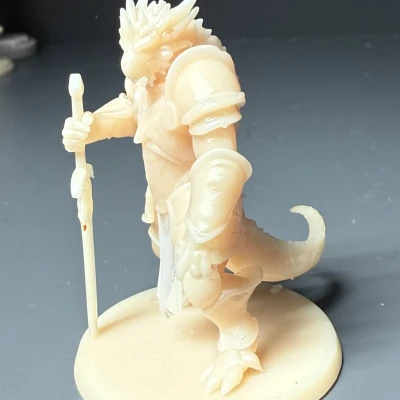 Draconian Paladin Cho Dungeons and Dragons DND