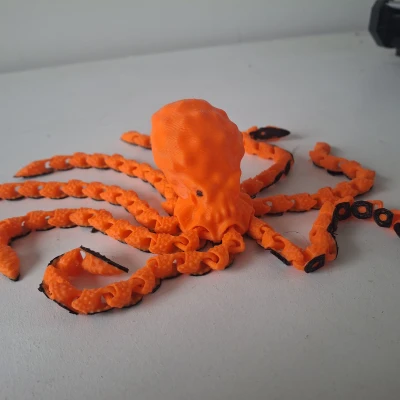 Bạch Tuộc: Bạch Tuộc Khớp Nối