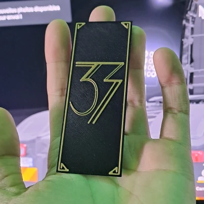 Huy Hiệu Expédition 33